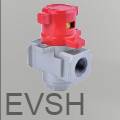 Образец клапана EVSH